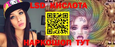 PSILOCYBIN Северобайкальск
