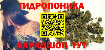 PSILOCYBIN Северобайкальск