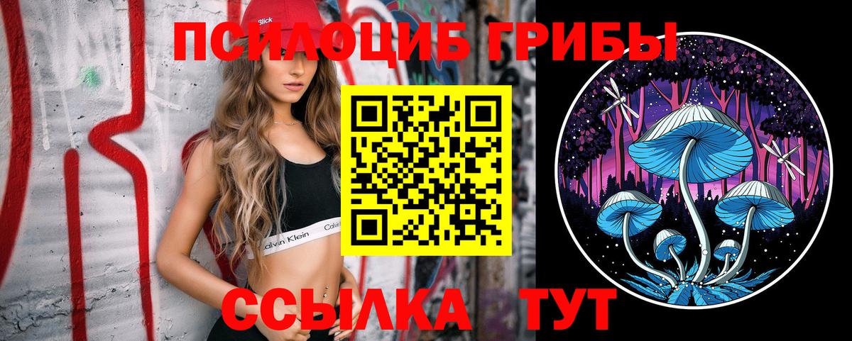Скопин  Псилоцибиновые грибы MAGIC MUSHROOMS  Вход с VPN 